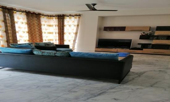 luxury fully furnished apartment rent Baridhara